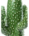 Jarrón Cactus Small