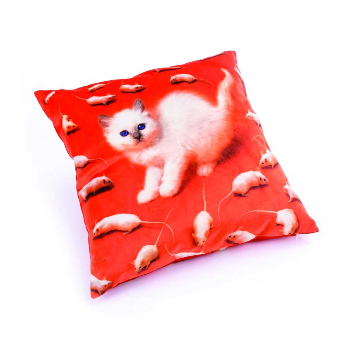 cushion-kitten