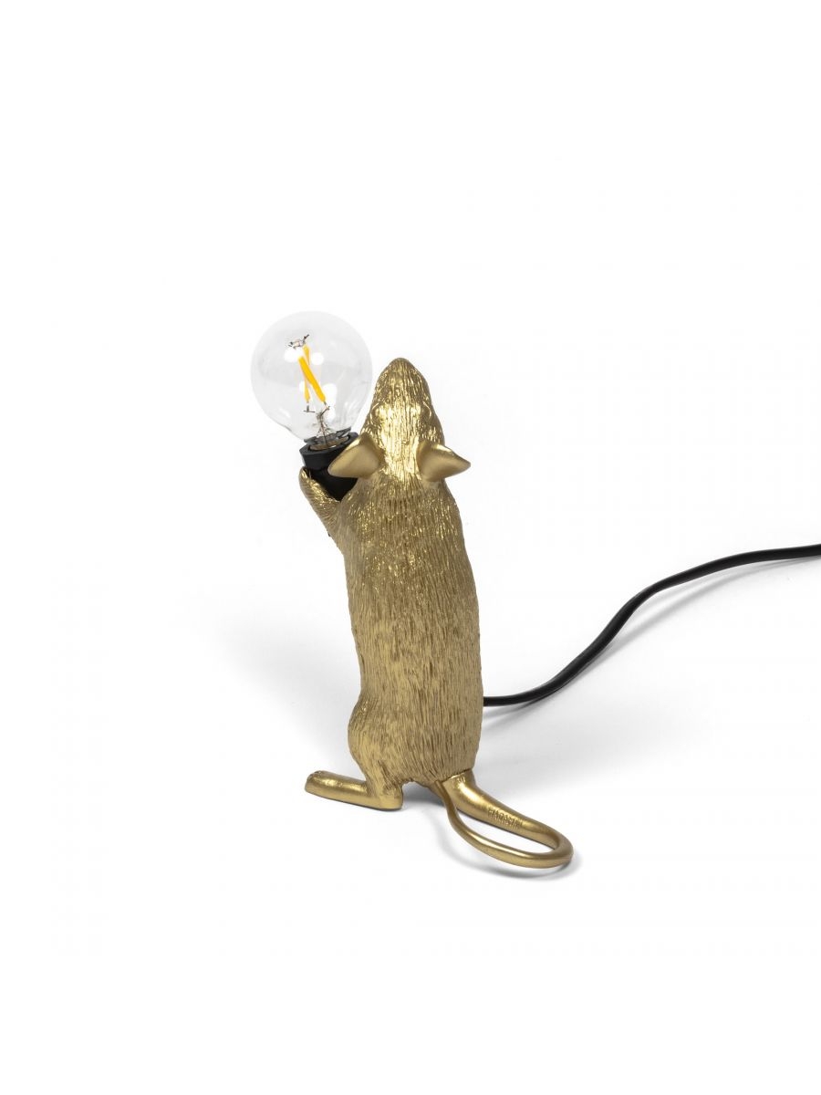 Gold Step - Lying down