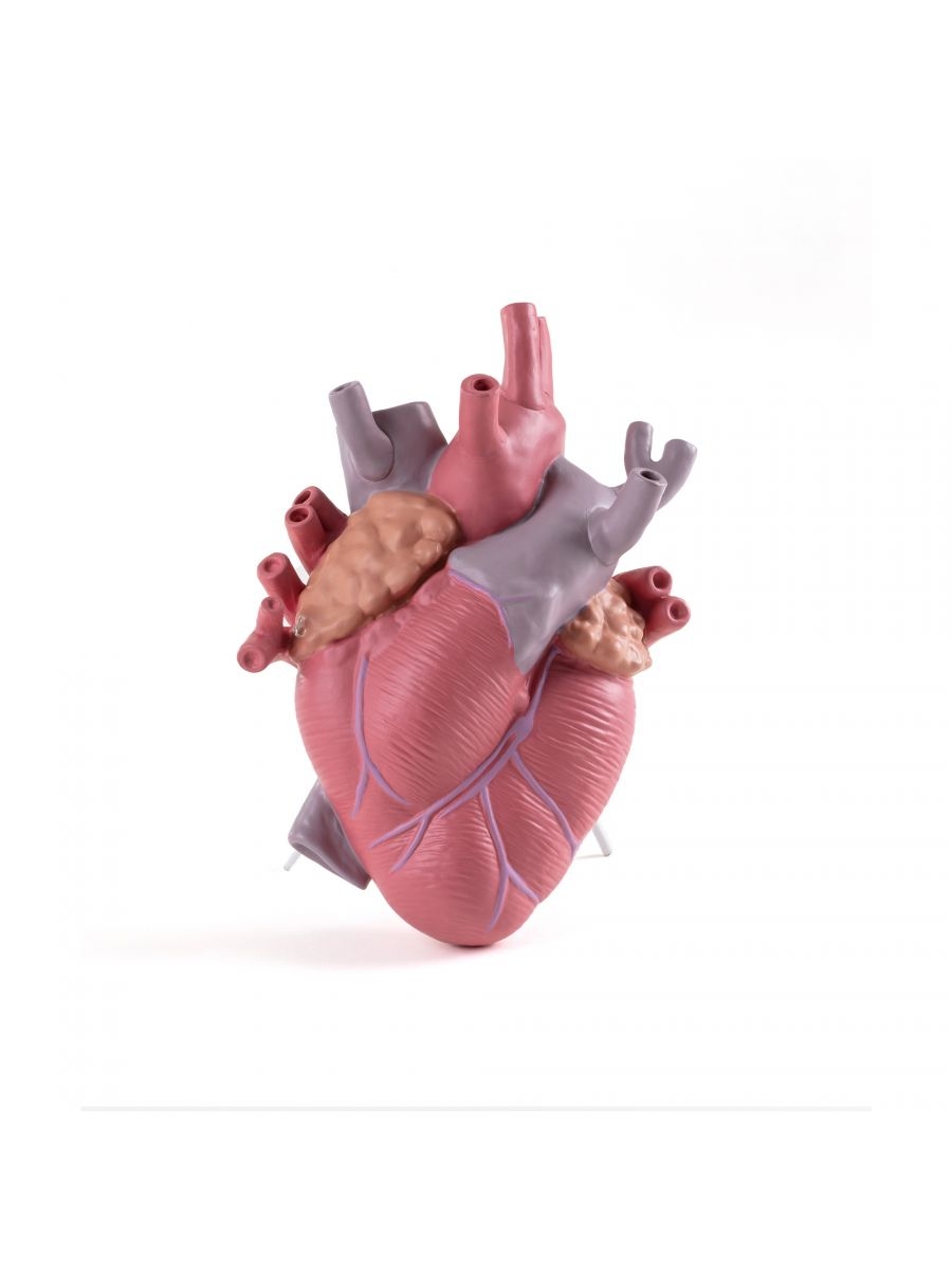 Love in Bloom Color  Vase Seletti