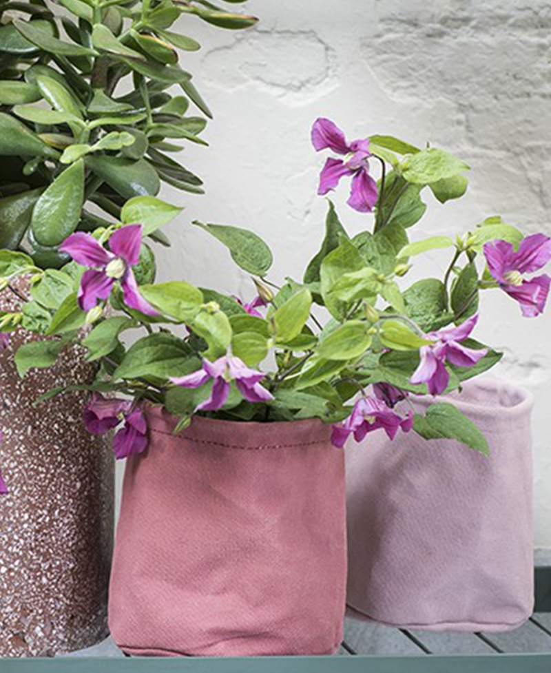 Canvas Marie Large Hanging