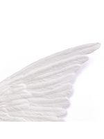 Memorabilia Mvsevm Wing Right - Seletti